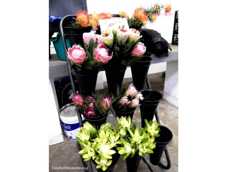 Mercado Duque de Bragança