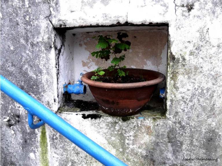 Mercado Duque de Bragança