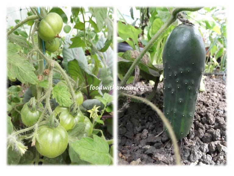 hidrosaladas_foodwithameaning