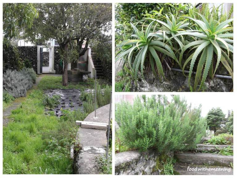 hidrosaladas_foodwithameaning