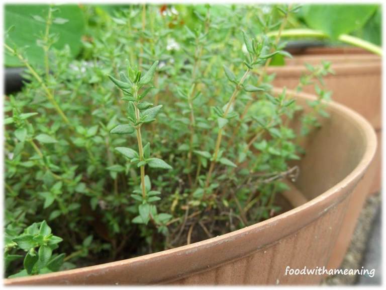 hidrosaladas_foodwithameaning