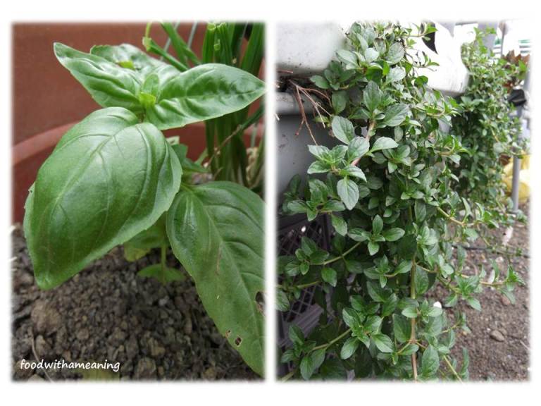 hidrosaladas_foodwithameaning