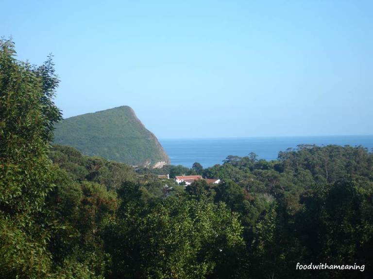 Verdura com Monte Brasil e mar ao fundo