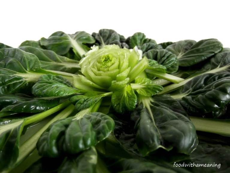 Salada de micro-couve tat soi. pimentos, rabanetes e queijo