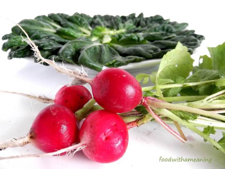 Salada de micro-couve tat soi. pimentos, rabanetes e queijo