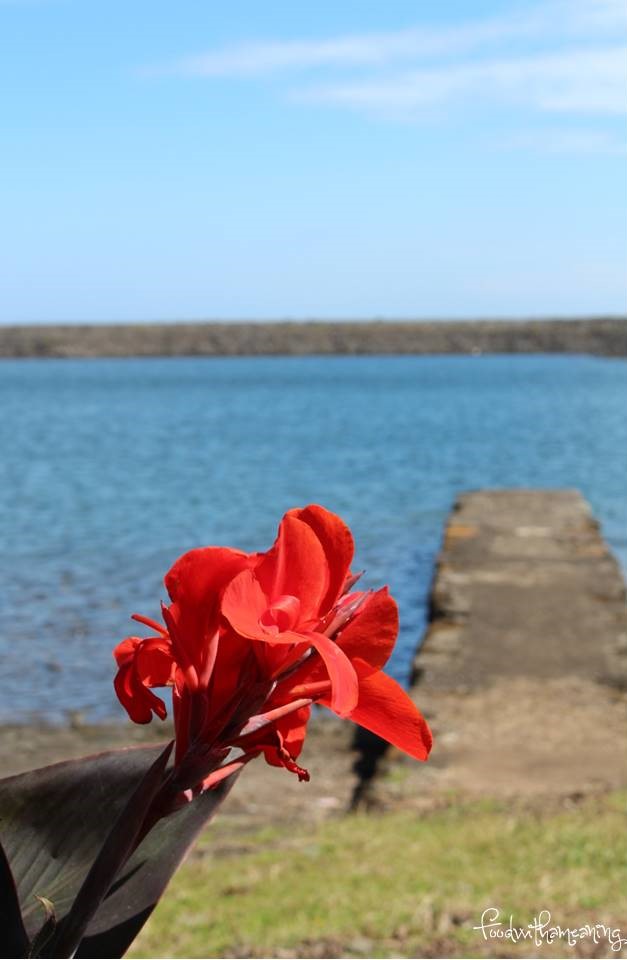 Caldeira da Fajã de Santo Cristo_ilha de São Jorge