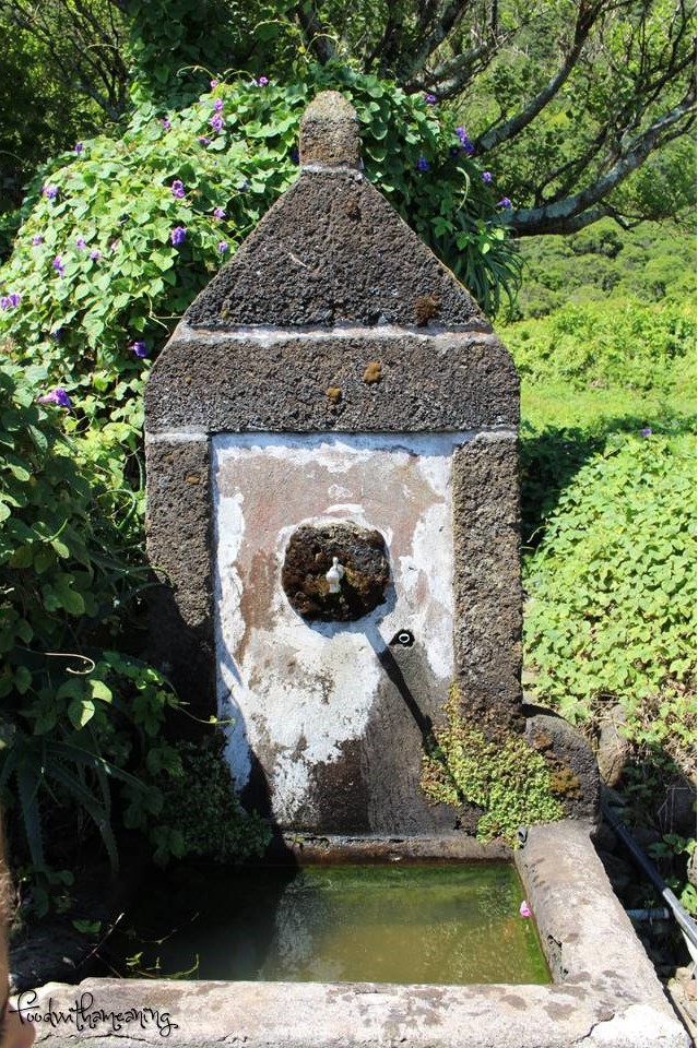 Caldeira da Fajã de Santo Cristo_ilha de São Jorge