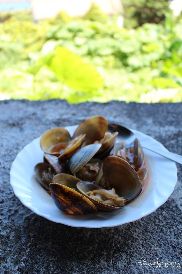 Caldeira da Fajã de Santo Cristo_ilha de São Jorge