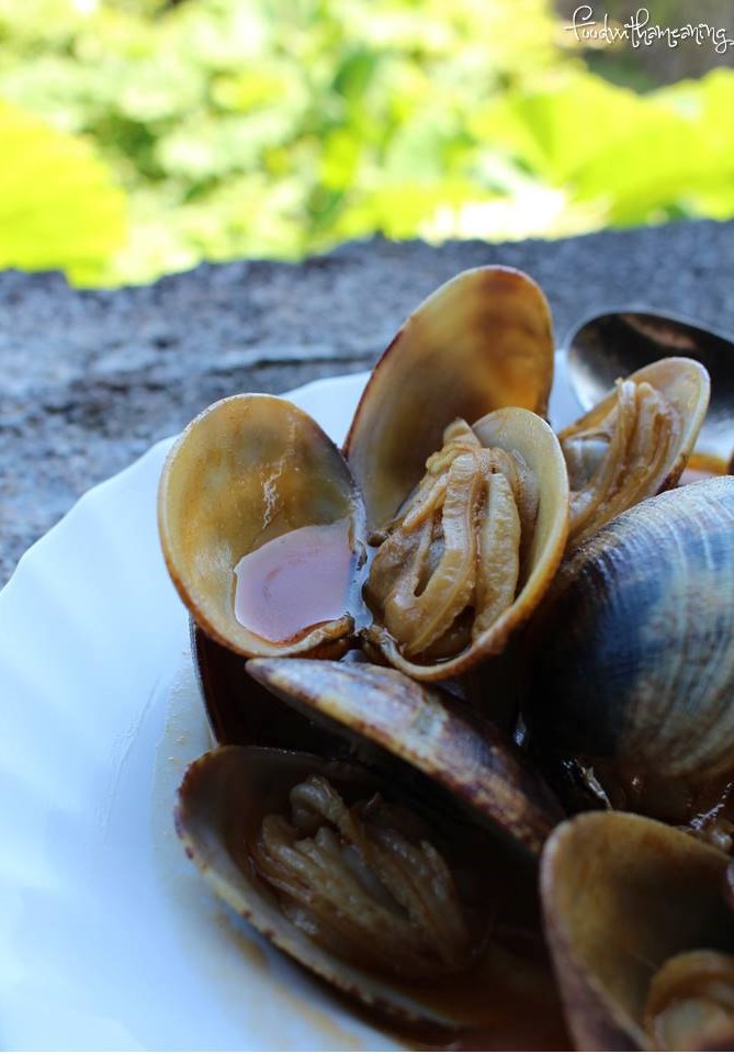 Caldeira da Fajã de Santo Cristo_ilha de São Jorge