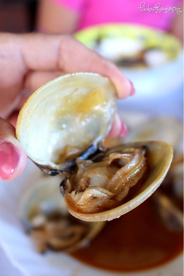 Caldeira da Fajã de Santo Cristo_ilha de São Jorge