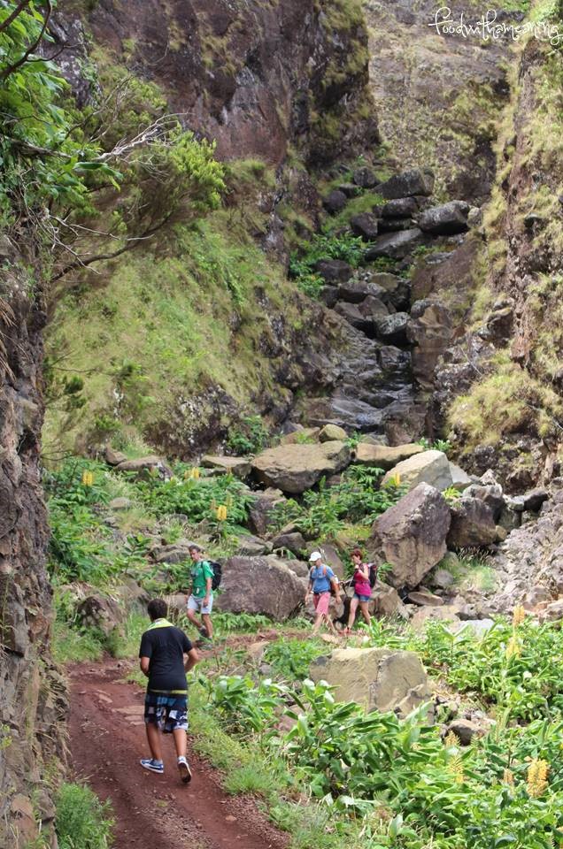 Caldeira da Fajã de Santo Cristo_ilha de São Jorge