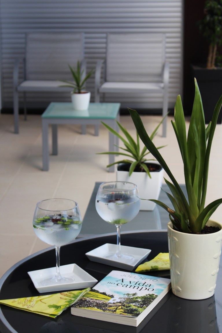 gin com cuca melon, pimenta rosa e anis estrelado