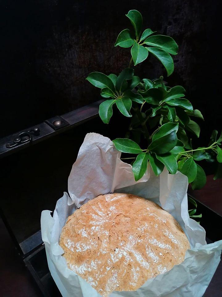 90144632_1852521098213276_1614760222708989952_o