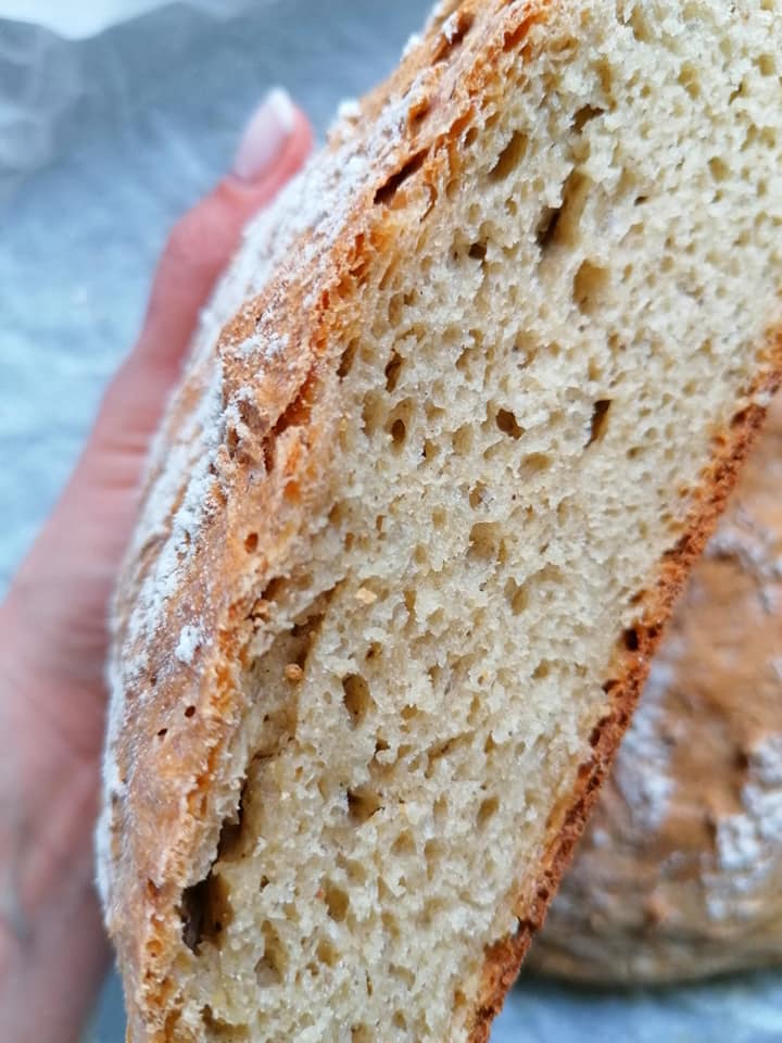 90556501_1852536394878413_1680098980362452992_n