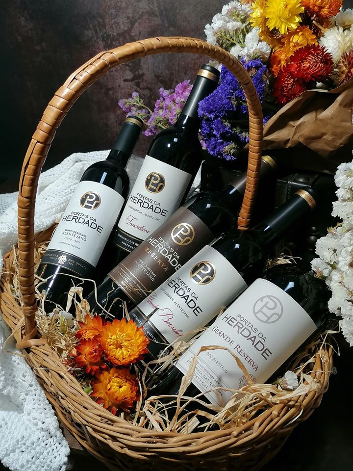 95420053_1898320250300027_5446135405978058752_o