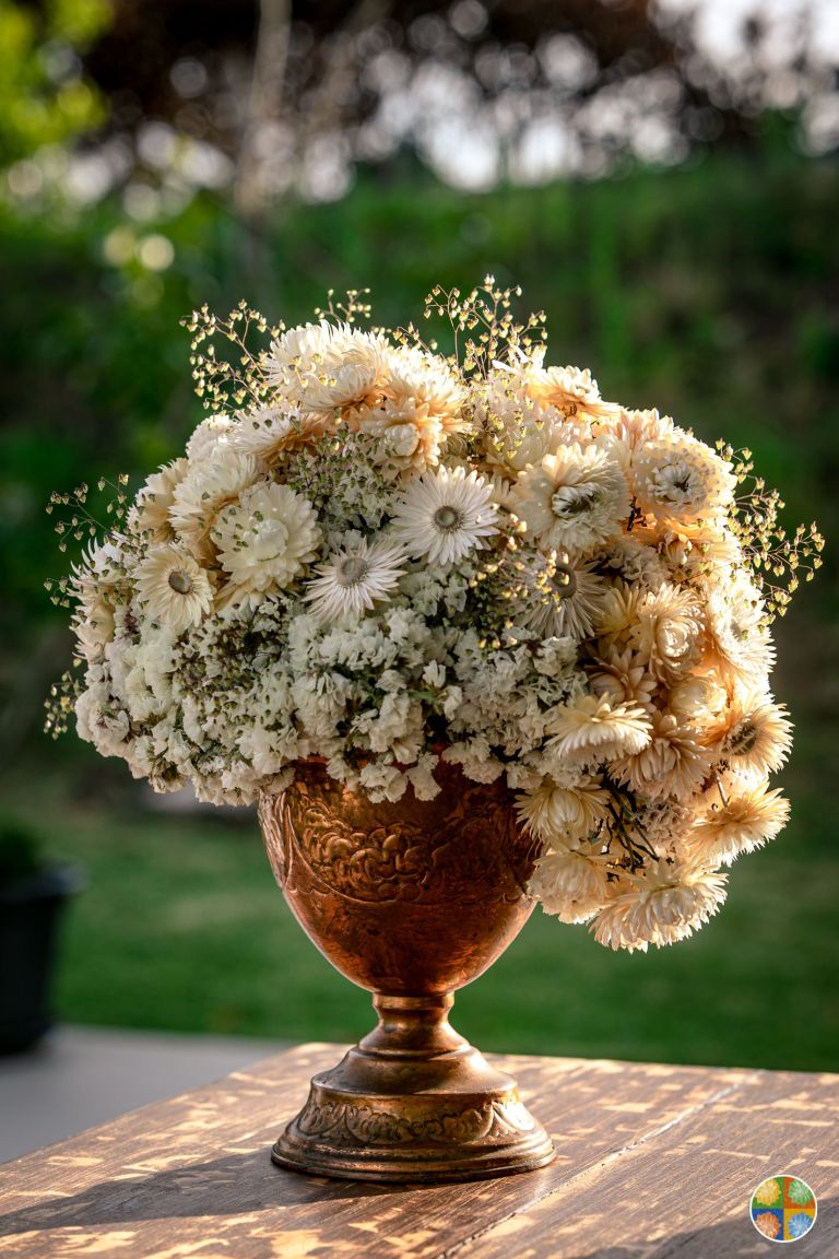 Flores desidratadas_ João Drumonde Ornelas